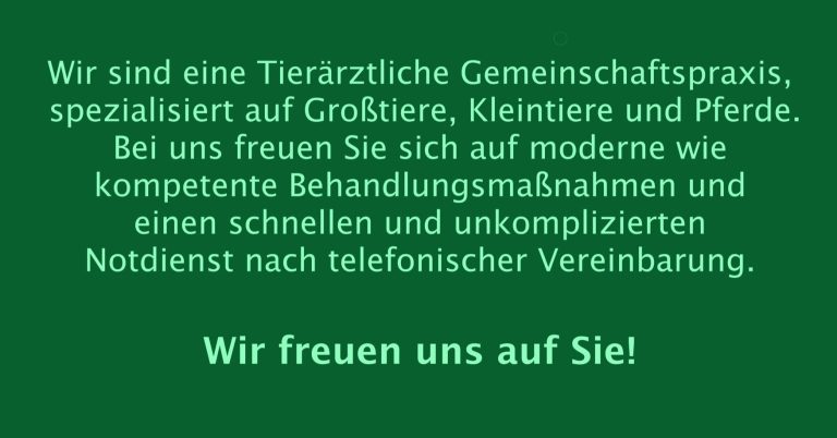 Infotext Tierärztliche Gemeinschaftspraxis Rabe Söchting